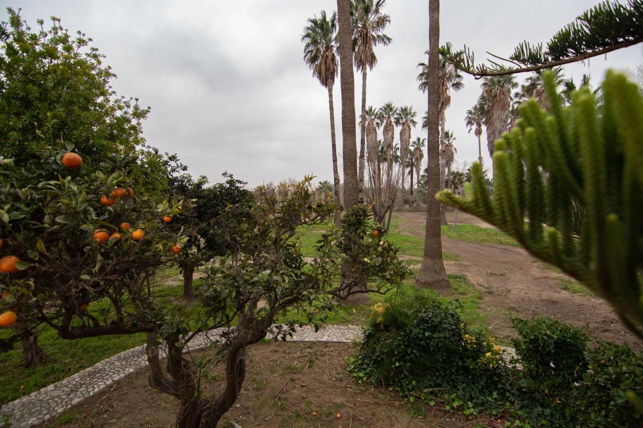 Villa Del Riu Deltebre Exterior photo